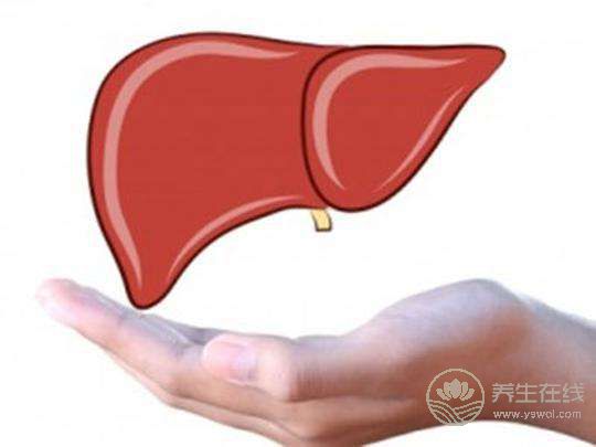 夏季飲食要注意,千萬別吃成脂肪肝 夏季飲食要注意,千萬別吃成脂肪肝