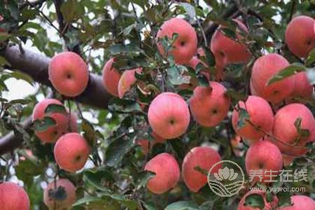 寶寶有秋燥該怎么辦? 寶寶有秋燥該怎么辦?