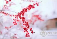 立冬時(shí)節(jié)有哪些養(yǎng)生小常識(shí)?