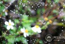 千寒易除,一濕難去,夏天祛濕怎么做?