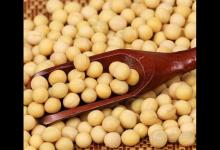 霜降后，養(yǎng)生吃這5種食物最合適