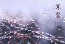 秋冬季節養生就吃它，2塊1斤滋補賽人參