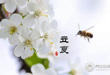 夏季養生的那一口果蔬“鮮味”