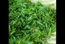 清明茶什么時候采？喝清明茶有哪些好處