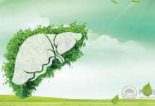 春季養(yǎng)生四大原則，趕快看看吧！