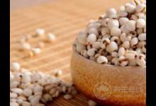 秋季吃什么粗糧可以減肥？