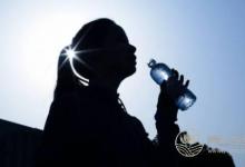 立夏需養(yǎng)心，推薦兩款養(yǎng)生安神湯