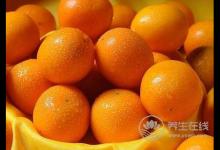 夏天多雨，濕氣加重怎么辦？試試兩款藥膳