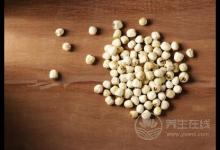 秋季養(yǎng)生吃什么 “四大名補”一定不能少