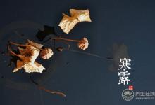 2018寒露時間_寒露是什么時候_吃什么養(yǎng)生_寒露習俗