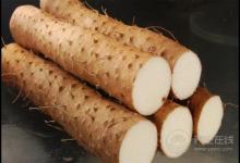 秋季濕氣重,這幾種食物多吃,能幫助排出濕氣