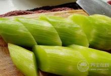 春季必吃的3種美食，養生效果好