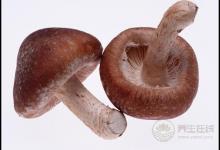 秋季宜養(yǎng)肝，3種果蔬是“護肝法寶”，常吃肝好你更好