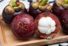  為什么秋季容易上火？秋季上火怎么辦？