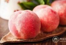 秋季養生水果有哪些?一些平價水果效果就不錯