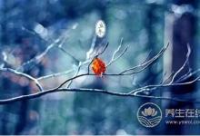 24節氣立冬的來歷是什么?立冬養生吃什么?