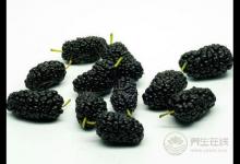 夏季吃什么好？推薦5種養(yǎng)生保健的食材！