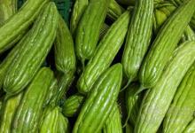 秋冬不生病，立秋多吃4種祛濕蔬菜