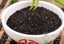 哪些食物適合小雪節氣食用呢