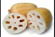 夏季養(yǎng)生食物,蓮藕的養(yǎng)生功效