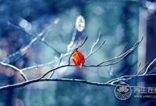 立冬養生要注意什么？立冬養生六大注意事項