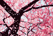 春夏養(yǎng)生飲食小貼士，家中常備的進(jìn)補(bǔ)小食材你家有幾樣？