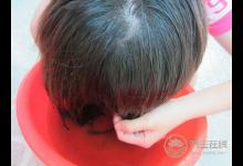 秋季愛脫發?用桑葉水洗頭可防治脫發