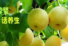 驚蟄 | 春雷響，萬(wàn)物長(zhǎng)！養(yǎng)生飲食要注意！