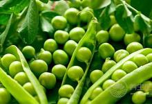 “仲夏，養生良機”之肉補篇