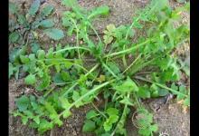 春季養(yǎng)生小常識 懶人養(yǎng)生必學(xué)七大招