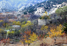 大暑農事  你需要注意的那些事項