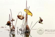 立冬有什么習俗?立冬傳統的七大習俗