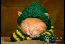 初秋養(yǎng)生要注意給4個(gè)部位保暖