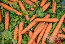 春季吃什么食物可以養(yǎng)肝?