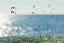 霜降養生重點在于膝關節！