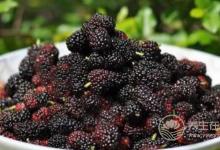 男人春季腎虛，沒關系，三種水果恢復戰斗力