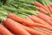 貼秋膘，又到吃羊肉好時節！燉涮炒烤各有功效