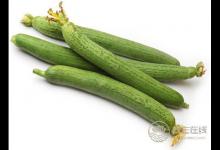 夏季保濕敗火,中醫教你絲瓜怎么吃