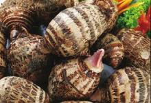 秋季養生吃什么比較好？