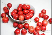 秋季防眼疾“眸”略不可不知