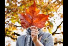 秋季養生:重保暖 慎秋凍