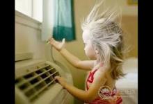 三伏天怎樣養生，推薦五種食物