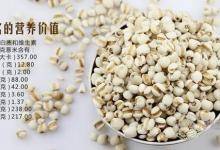 夏季會吃薏仁更養生，推薦幾種健康吃法