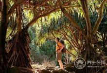 白露前后蛇出沒,如何預防被蛇咬