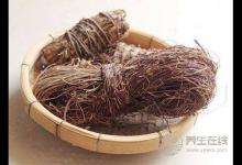 春夏潮濕季,保肝護肝用雞骨草煲湯