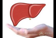 夏季飲食要注意,千萬別吃成脂肪肝