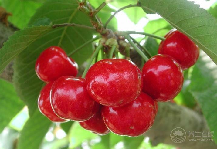 春季養(yǎng)生吃什么好呢?常吃這四樣,養(yǎng)生又健康 春季養(yǎng)生吃什么好呢?常吃這四樣,養(yǎng)生又健康