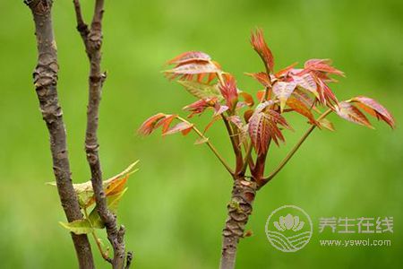 谷雨節(jié)氣我們該注意什么事項呢?