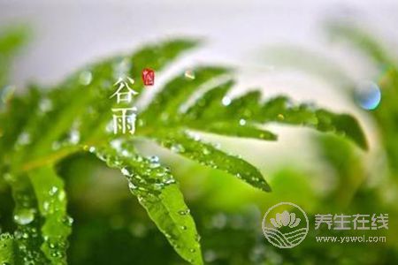 什么是谷雨節氣? 什么是谷雨節氣?
