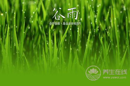 2019年谷雨是哪天?